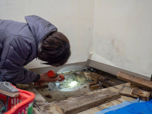 Best Crawl Space Mold Remediation  in Glenarden, MD