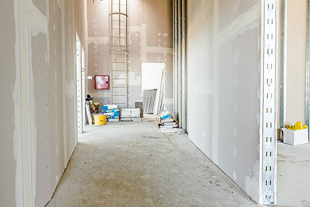 Best Forensic Mold Investigation  in Glenarden, MD
