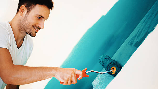 Professional Mold Removal in Glenarden, MD
